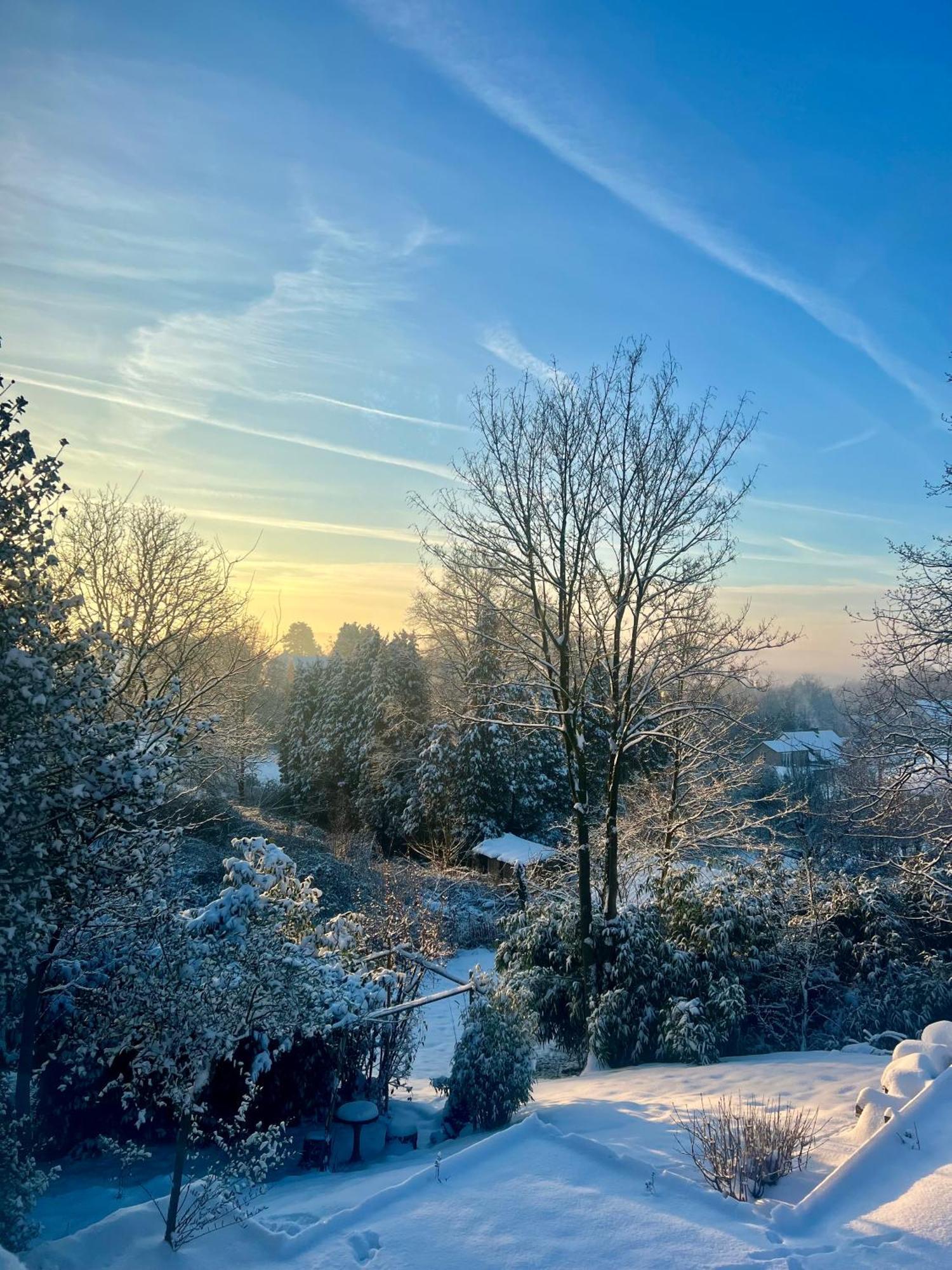 Bois De Hal Bed & Breakfast Braine l'Alleud Bagian luar foto
